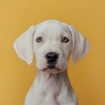 c9e3ea1c9f29bee3ad9dce7628f92d8e_d13c22e8b2ee9fd650a397b7e53e8239.gif